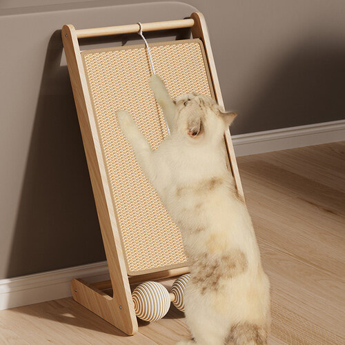 섬네일이미지