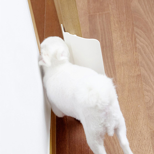 섬네일이미지