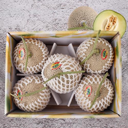 섬네일이미지