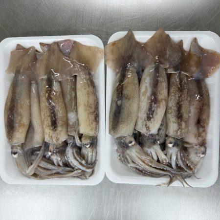 섬네일이미지