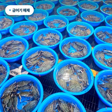 섬네일이미지
