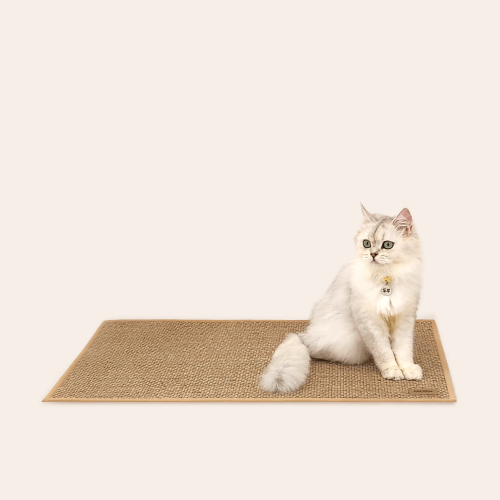 섬네일이미지