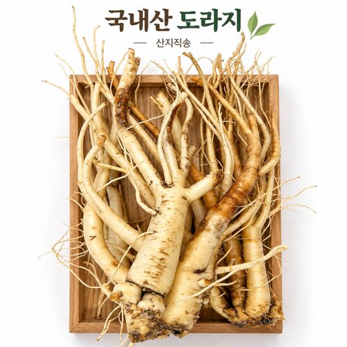 섬네일이미지