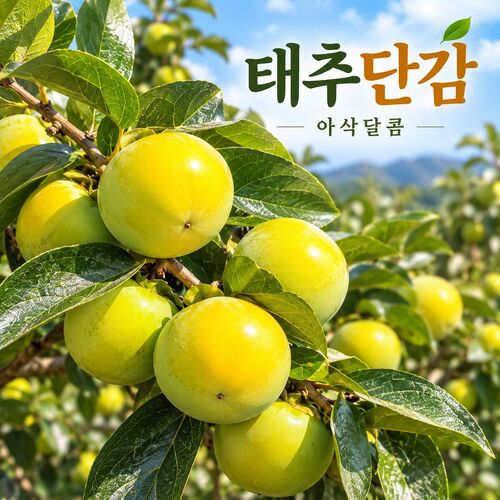섬네일이미지