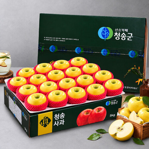 섬네일이미지