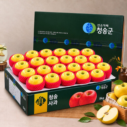 섬네일이미지