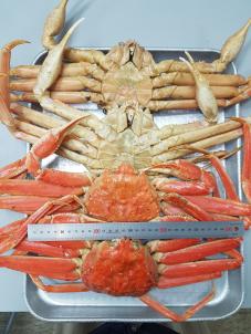 상품썸네일