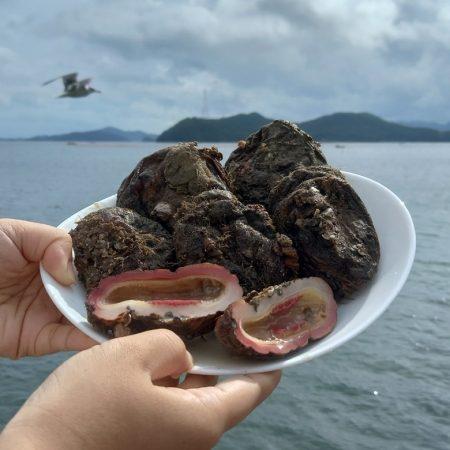 섬네일이미지